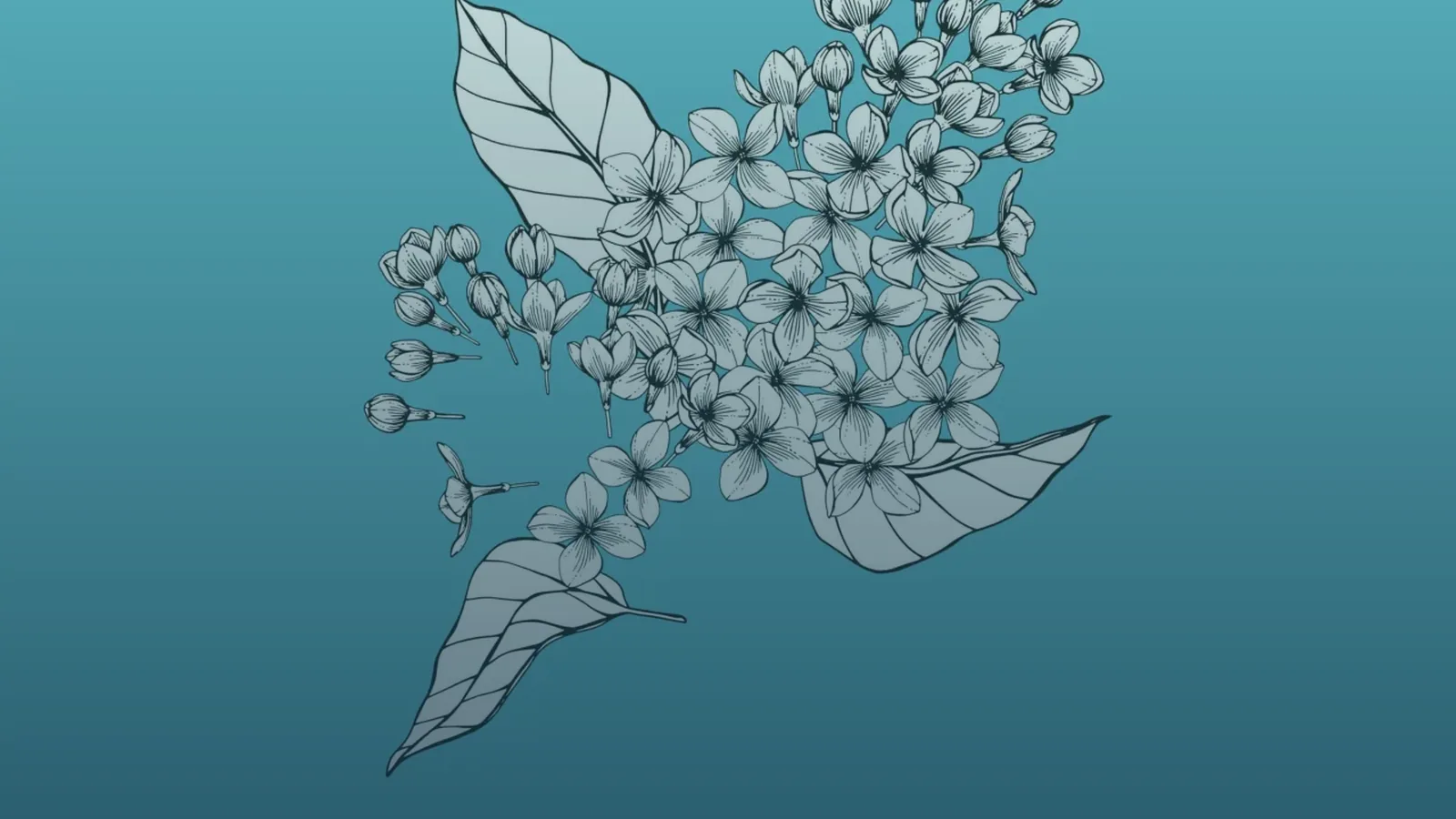 Cover art for The Things We Know by Tim Mushen